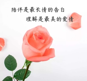 通用朋友圈封面