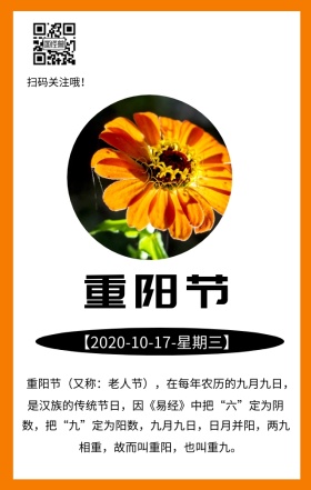 重阳节节日菊花黄色文艺简约日签