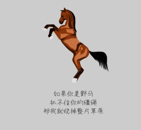 野马草原朋友圈封面
