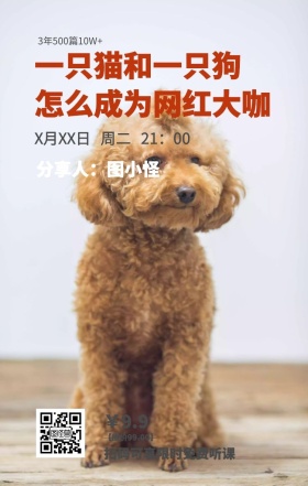 课程营销扁平萌系媒体运营宠物网红手机海报