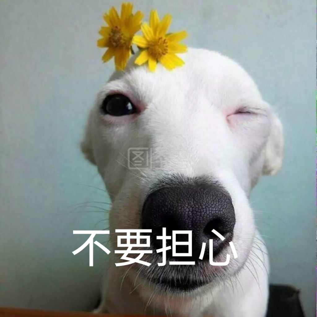 不要担心表情包