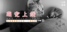 萌宠简约卡通清新宣传海报