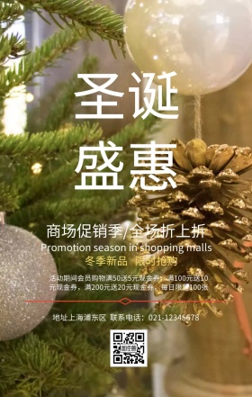 圣诞狂欢宣传促销海报