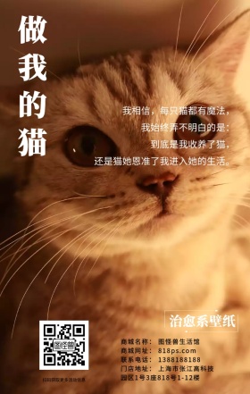 治愈猫咪大海简约蓝色清新海报