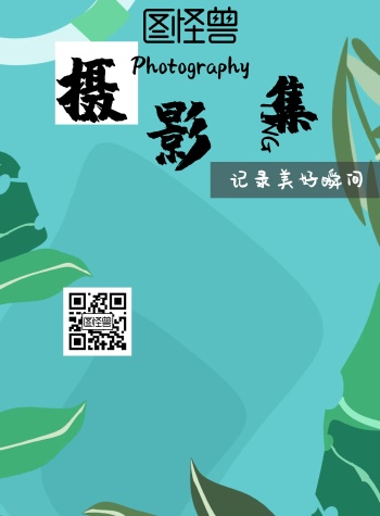 摄影集封面