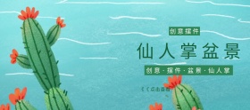 仙人掌盆景淘宝移动banner