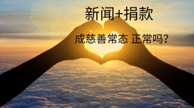 新闻加捐款公众号封面