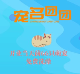 萌宠宠物可爱动物朋友圈封面