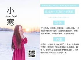 简约传统24节气小寒养生公众号配图