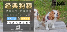 经典狗粮宣传海报