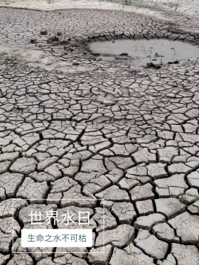 世界水日创意海报、节约用水