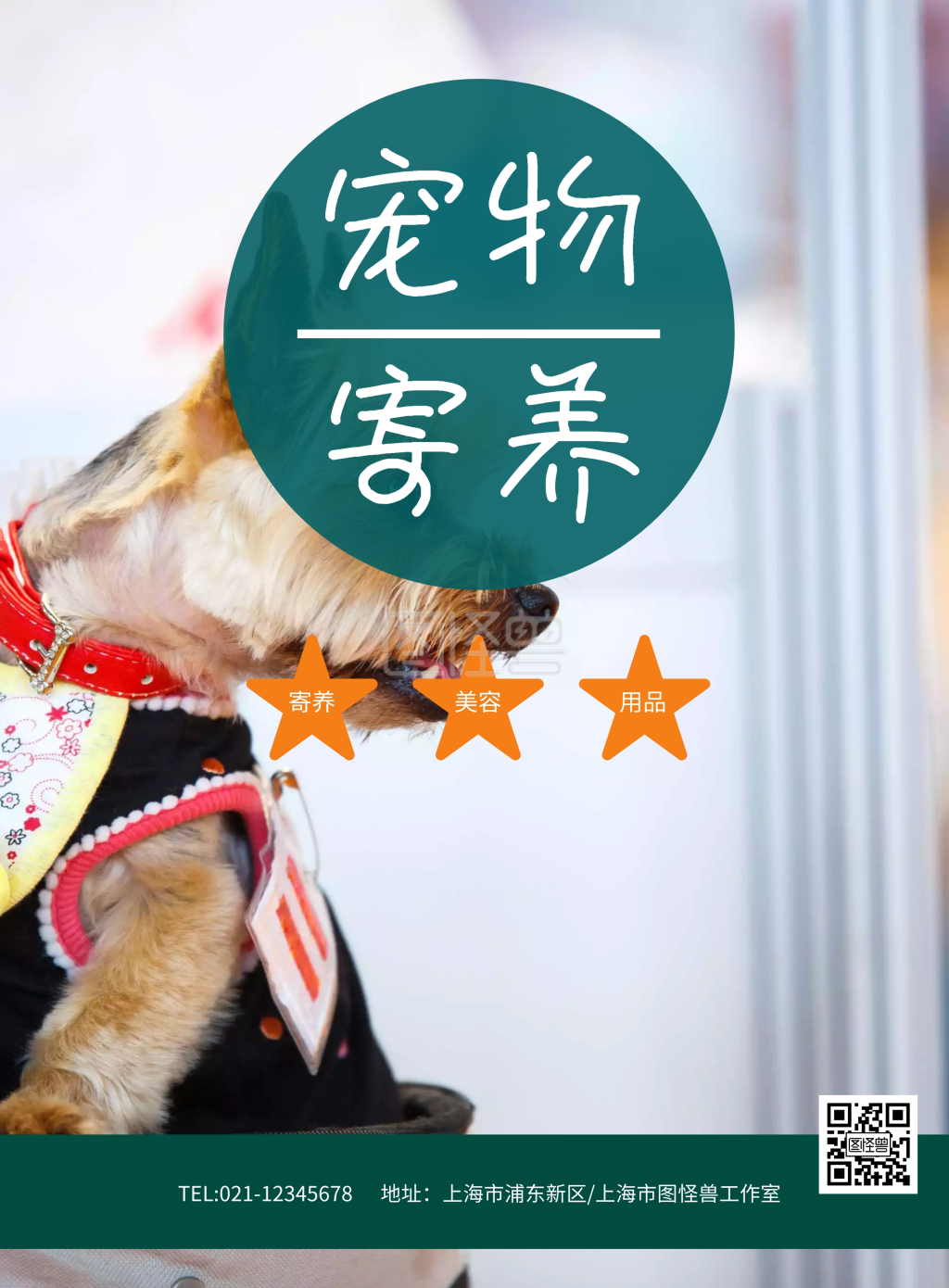 宠物寄养美容用品海报模板