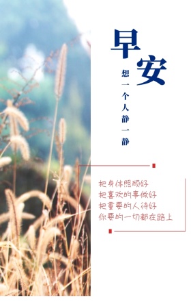 早安玫瑰花手机海报 日签