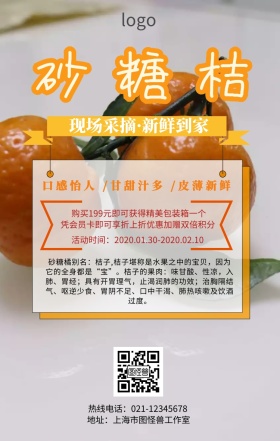 砂糖桔广告促销海报