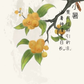 火烈鸟简约手绘卡通绿色小暑古诗