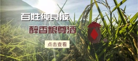 简约稻谷五粮液酒水白酒banner