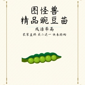 图怪兽豌豆苗直通车
