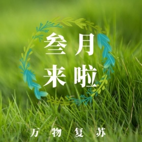 叁月 来啦 万物复苏 三月你好公众号封面小图