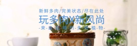 多肉盆栽组合夏季新品banner图片