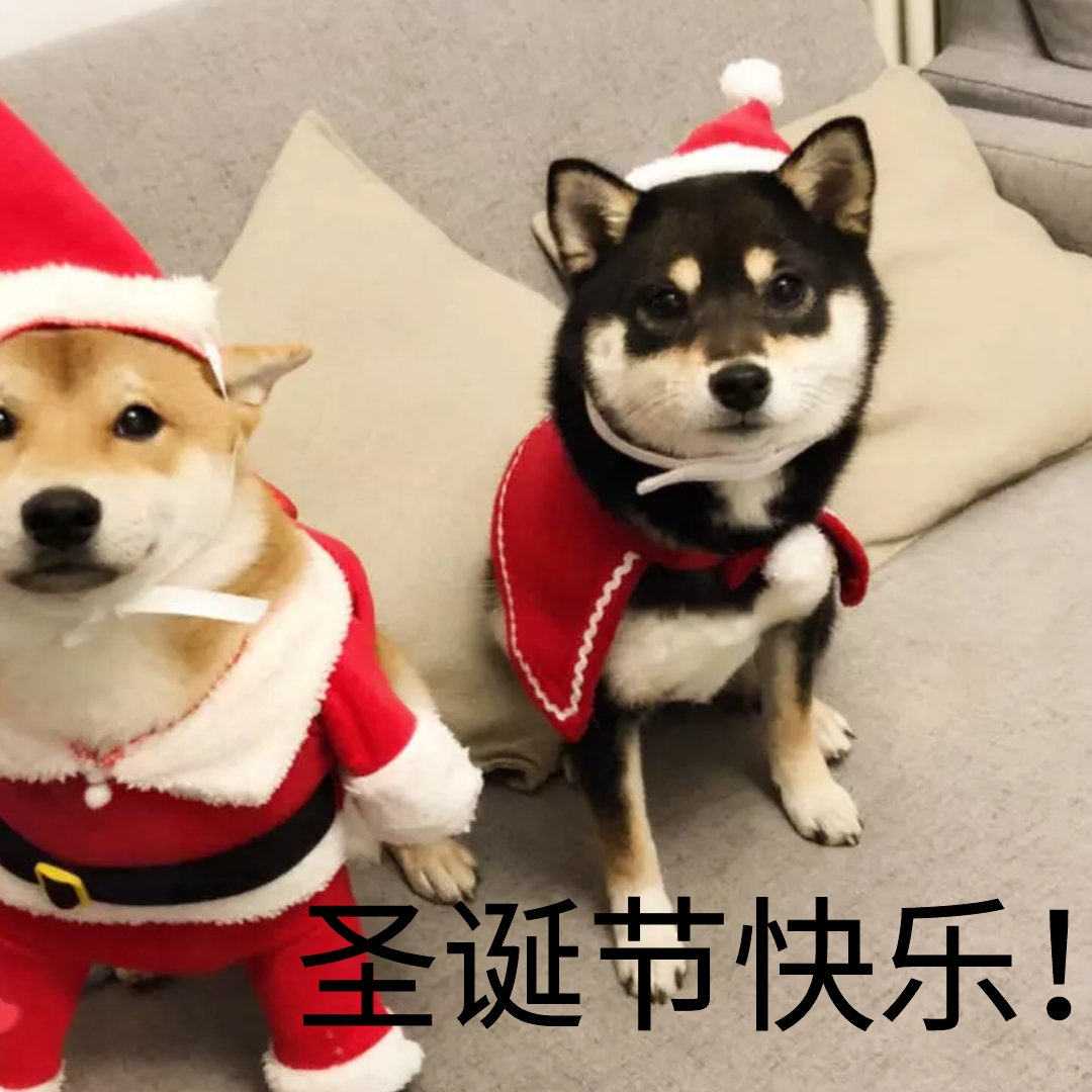 快乐圣诞节