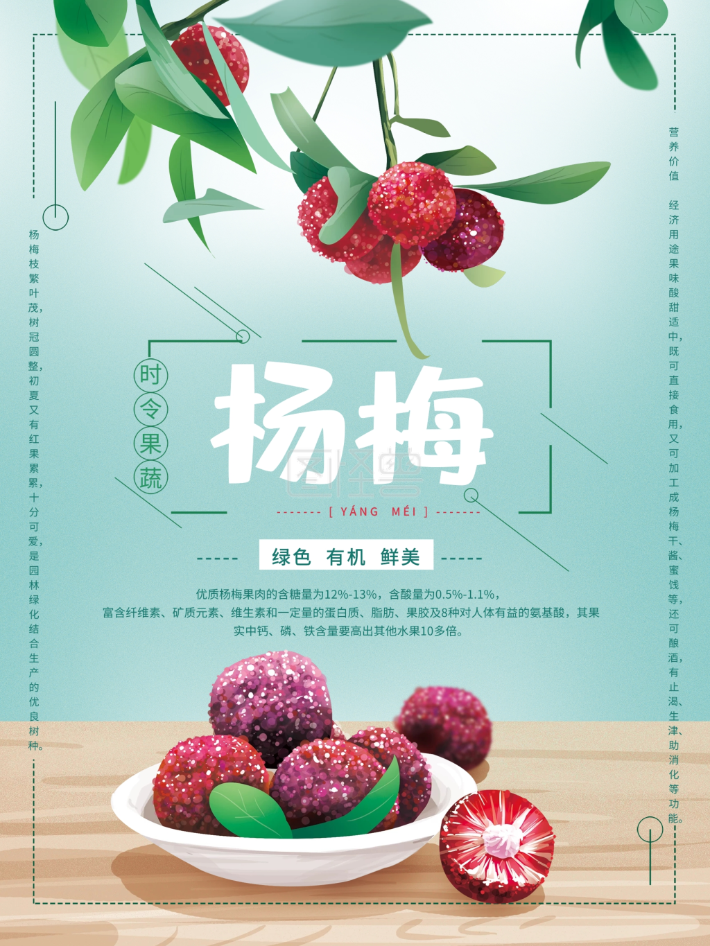 原创手绘杨梅水果海报