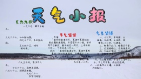天气小报清新手抄报