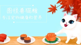 猫粮简约宠物公众号封面模版