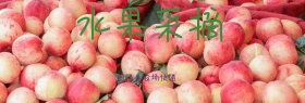 淘宝生鲜水果快递海报banner