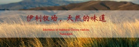 卡通优惠促销伊利牧场banner