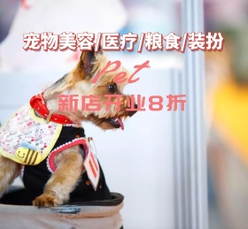 宠物美容医疗粮食装扮朋友圈封面