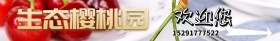 生态樱桃园欢迎您