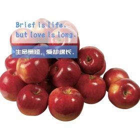 生命虽短爱却绵长手机微博封面模板
