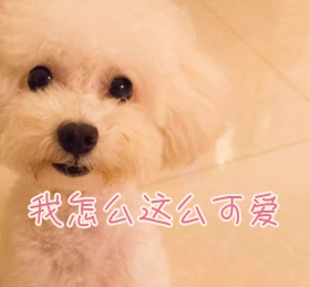 我怎么这么可爱朋友圈封面