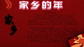 家乡的年手抄报