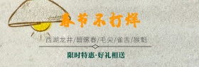 春茶绿茶上新清新风淘宝banner