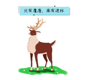 北有麋鹿 南有迷林朋友圈封面
