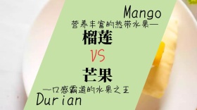 你身边的设计怪兽