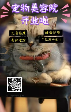 宠物美容院开业卡通营销日签