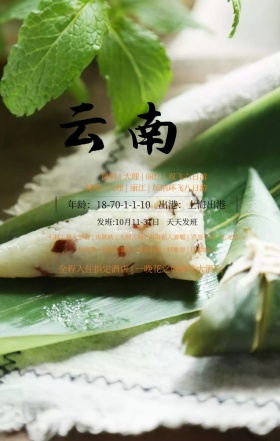 创意简约云南风格旅游促销手机海报