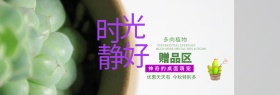 淡紫色文艺风多肉岁月静好淘宝电商天猫海报banner