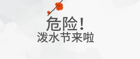 泼水节波普公众号封面
