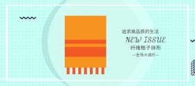 秋冬上新简约小清新格子抹布banner