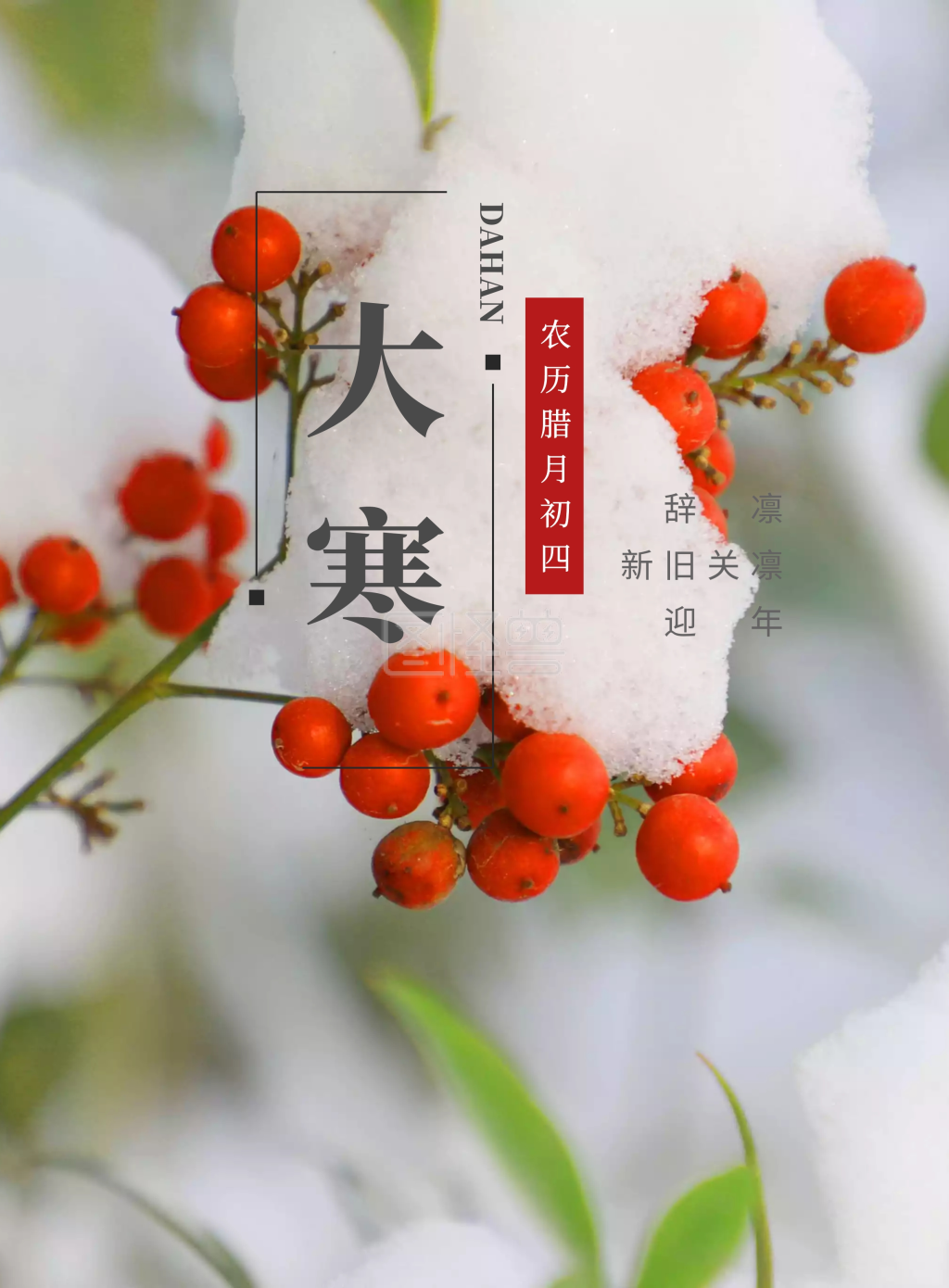 二十四节气大寒海报