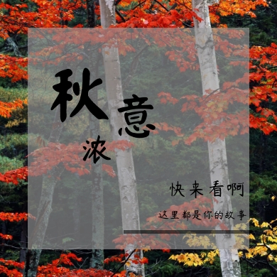 红枫叶