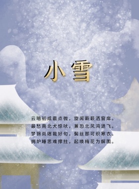 二十四节气小雪海报