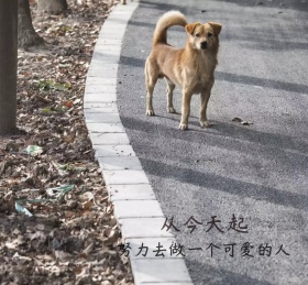 努力去做一个可爱的人快乐朋友圈封面