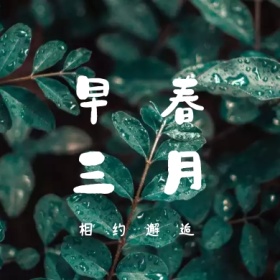 早春 三月 相约邂逅 三月你好公众号封面小图