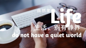 家装地板育儿家庭公众号封面模板