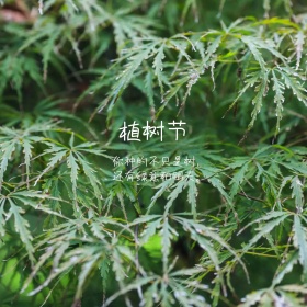 植树节绿色公众号配图