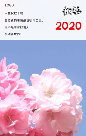  你好 人生仅数十载！ 最要紧的事情是证明你自己。 而不是单讨好他人， 加油新世界！ 你好2019